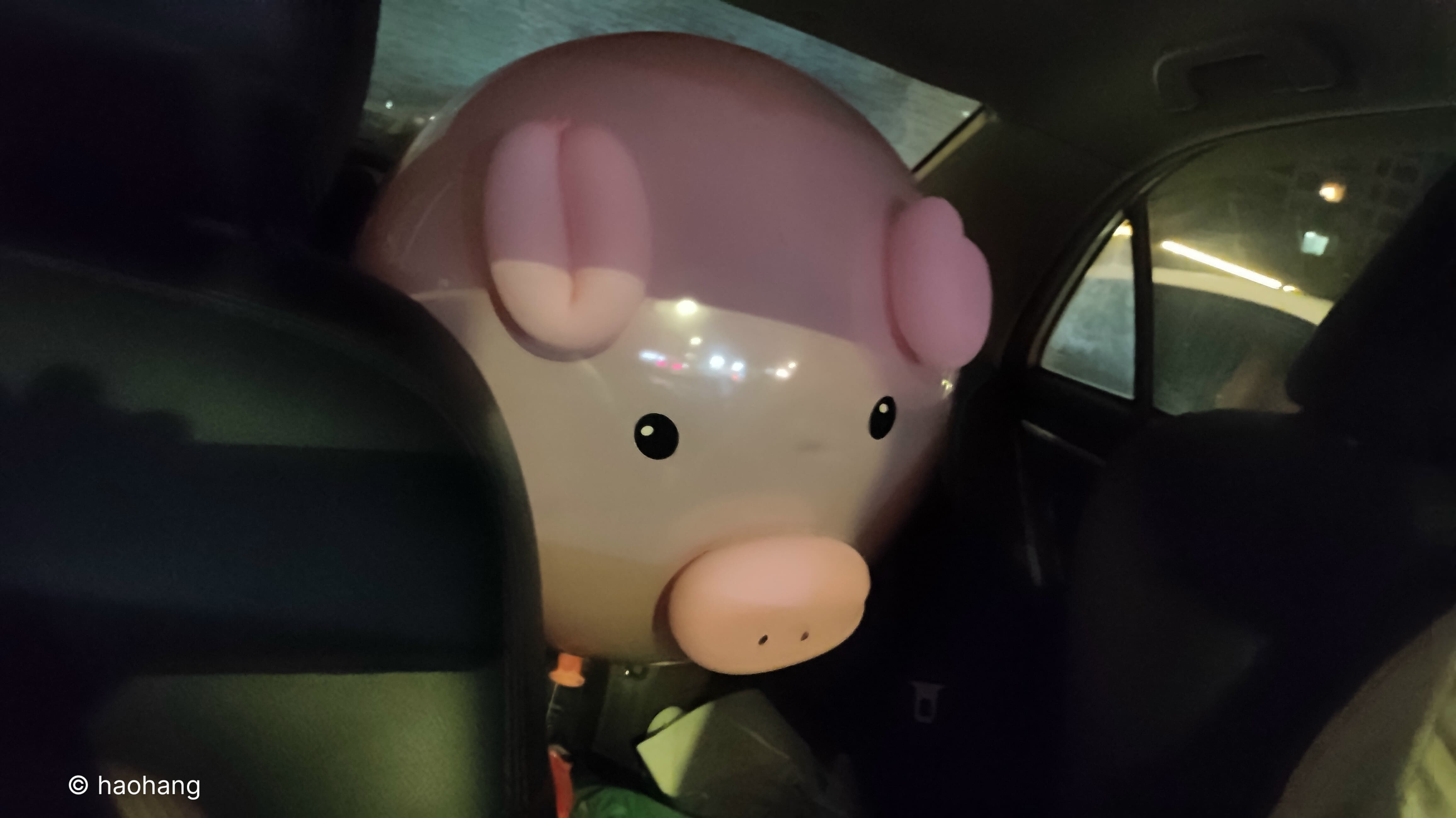 后面有头猪看着你