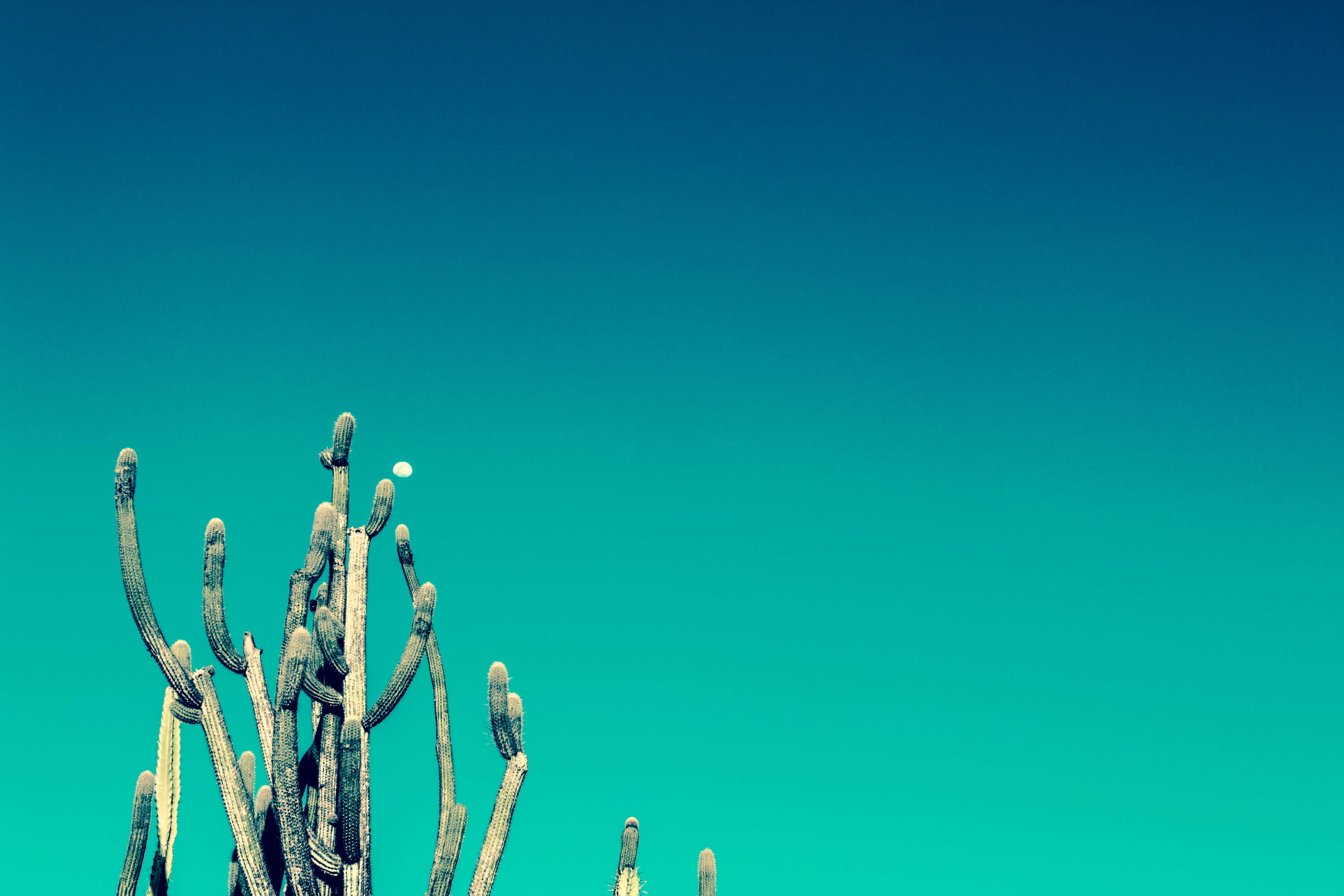 前端硬核面试专题